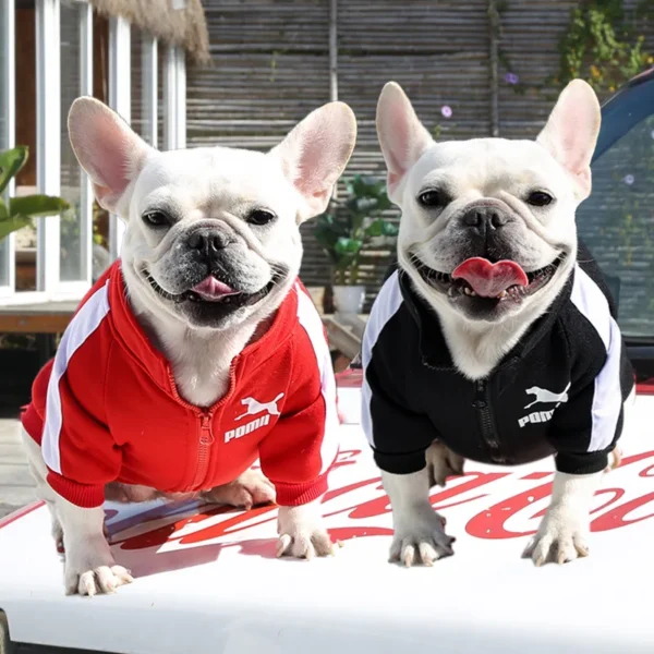 Custom Pet Sweatshirt
