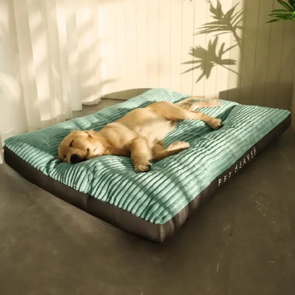 XXL Dog Bed