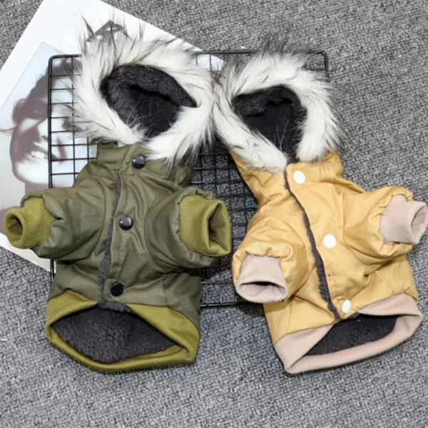 Warm Dog Hoodie