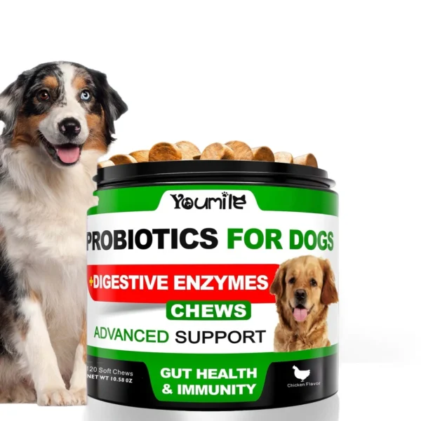 Dog Probiotic Chews